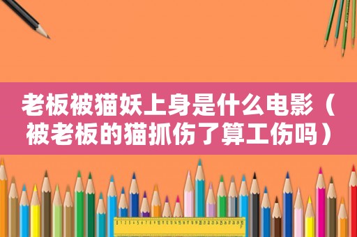 老板被貓妖上身是什么電影（被老板的貓抓傷了算工傷嗎）