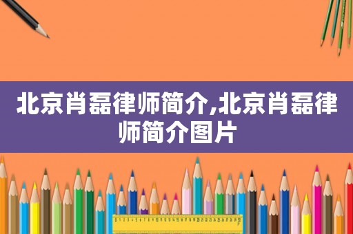 北京肖磊律師簡介,北京肖磊律師簡介圖片