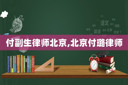 付副生律師北京,北京付璐律師