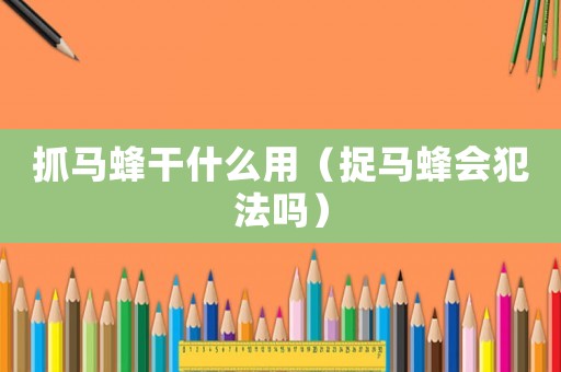 抓馬蜂干什么用（捉馬蜂會犯法嗎）
