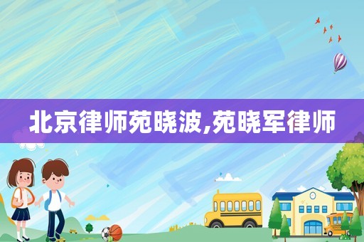 北京律師苑曉波,苑曉軍律師