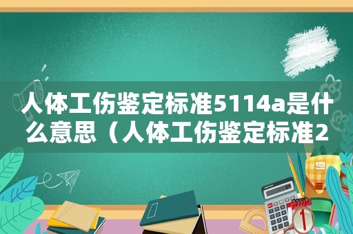 人體工傷鑒定標準5114a是什么意思（人體工傷鑒定標準2015）