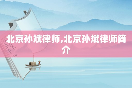 北京孫斌律師,北京孫斌律師簡介