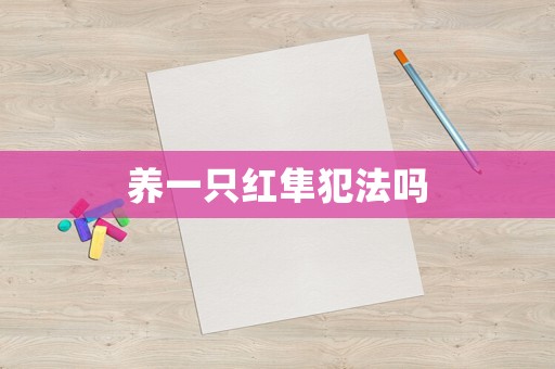 養(yǎng)一只紅隼犯法嗎