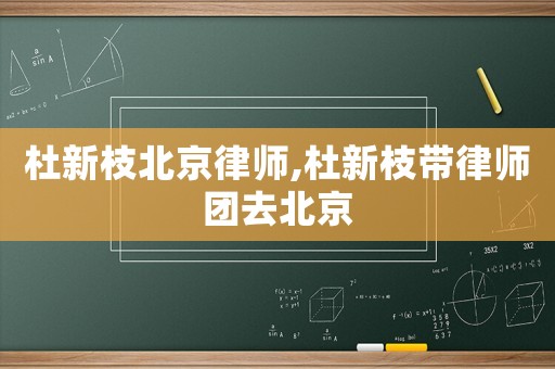 杜新枝北京律師,杜新枝帶律師團去北京