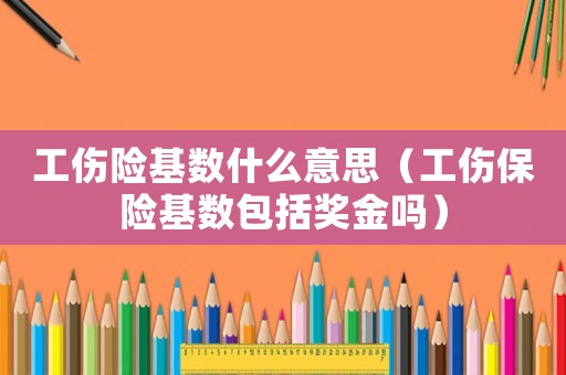 工傷險基數什么意思（工傷保險基數包括獎金嗎）