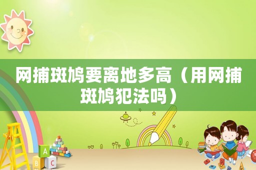 網(wǎng)捕斑鳩要離地多高（用網(wǎng)捕斑鳩犯法嗎）