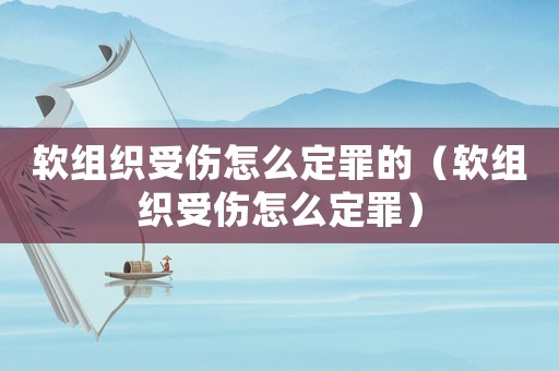軟組織受傷怎么定罪的（軟組織受傷怎么定罪）