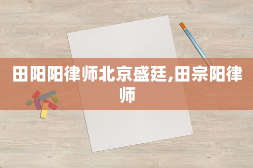 田陽陽律師北京盛廷,田宗陽律師