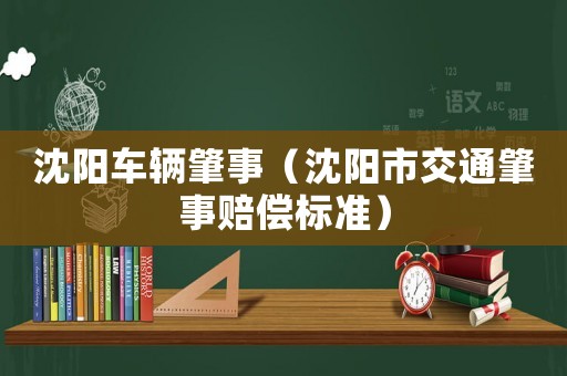 沈陽車輛肇事（沈陽市交通肇事賠償標準）