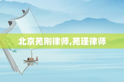 北京苑剛律師,苑瑾律師