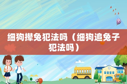 細(xì)狗攆兔犯法嗎（細(xì)狗追兔子犯法嗎）