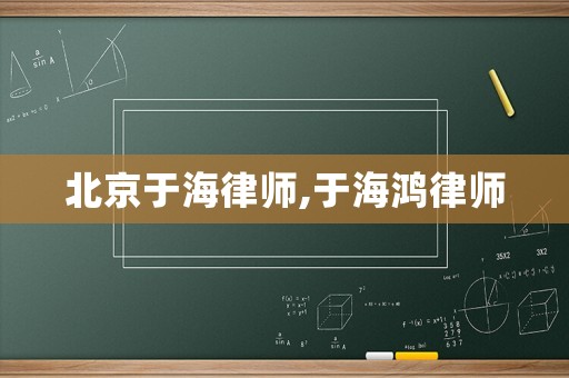 北京于海律師,于海鴻律師