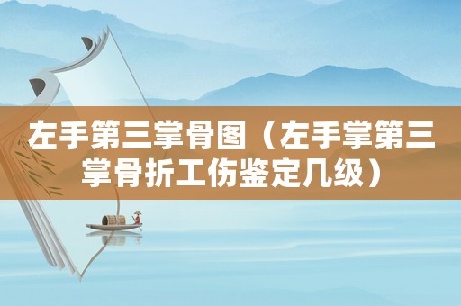 左手第三掌骨圖（左手掌第三掌骨折工傷鑒定幾級）