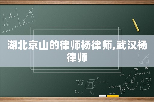 湖北京山的律師楊律師,武漢楊律師
