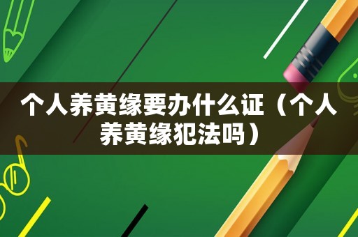個人養黃緣要辦什么證（個人養黃緣犯法嗎）