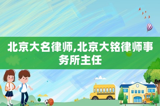 北京大名律師,北京大銘律師事務所主任
