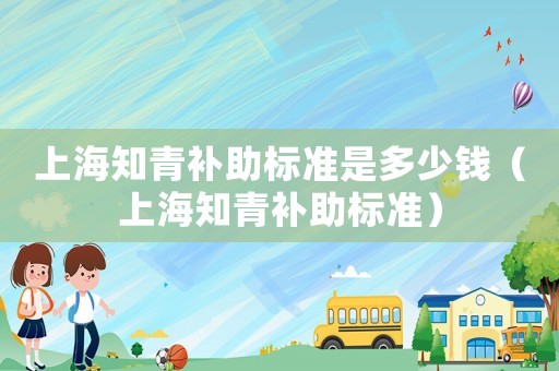 上海知青補(bǔ)助標(biāo)準(zhǔn)是多少錢（上海知青補(bǔ)助標(biāo)準(zhǔn)）