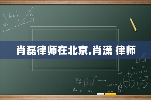 肖磊律師在北京,肖瀟 律師