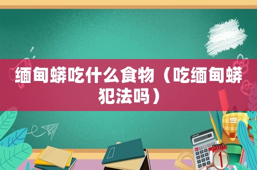 緬甸蟒吃什么食物（吃緬甸蟒犯法嗎）