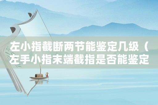 左小指截斷兩節能鑒定幾級（左手小指末端截指是否能鑒定工傷殘）