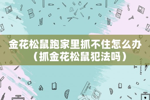 金花松鼠跑家里抓不住怎么辦（抓金花松鼠犯法嗎）