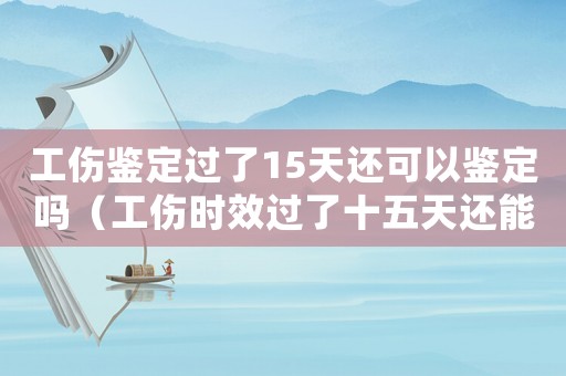 工傷鑒定過了15天還可以鑒定嗎（工傷時效過了十五天還能申請再次鑒定嗎）