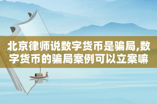 北京律師說數字貨幣是騙局,數字貨幣的騙局案例可以立案嘛
