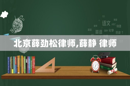 北京薛勁松律師,薛靜 律師
