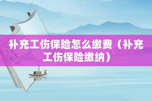 補充工傷保險怎么繳費（補充工傷保險繳納）
