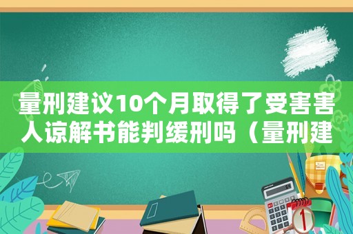 量刑建議10個月取得了受害害人諒解書能判緩刑嗎（量刑建議10個月）