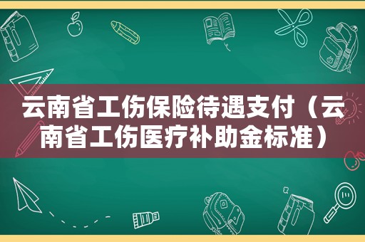 云南省工傷保險待遇支付（云南省工傷醫(yī)療補助金標準）