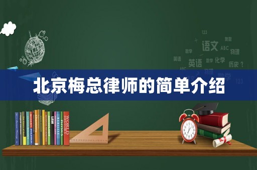 北京梅總律師的簡單介紹