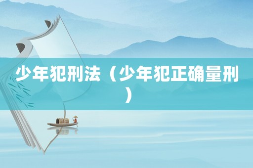 少年犯刑法（少年犯正確量刑）