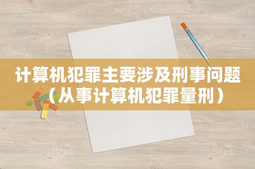 計算機犯罪主要涉及刑事問題（從事計算機犯罪量刑）