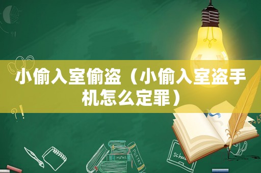 小偷入室偷盜（小偷入室盜手機怎么定罪）