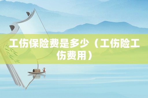 工傷保險費是多少（工傷險工傷費用）