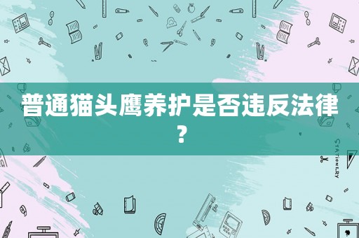 普通貓頭鷹養(yǎng)護是否違反法律？