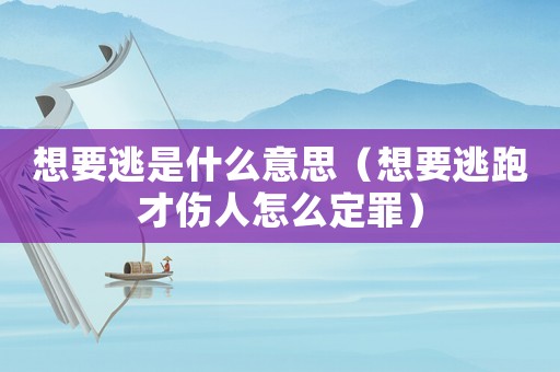 想要逃是什么意思（想要逃跑才傷人怎么定罪）