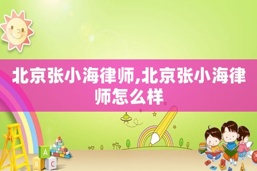 北京張小海律師,北京張小海律師怎么樣
