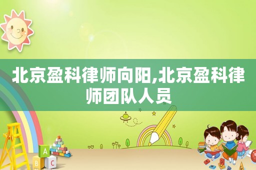 北京盈科律師向陽,北京盈科律師團隊人員