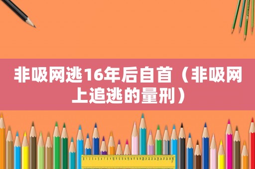 非吸網逃16年后自首（非吸網上追逃的量刑）