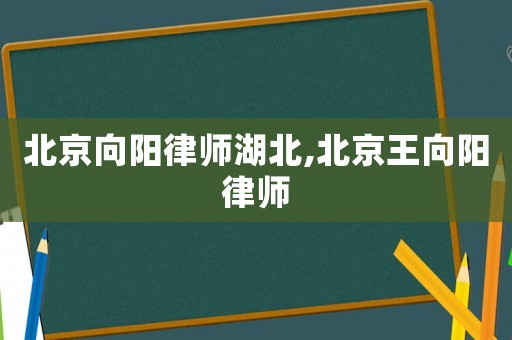 北京向陽律師湖北,北京王向陽律師