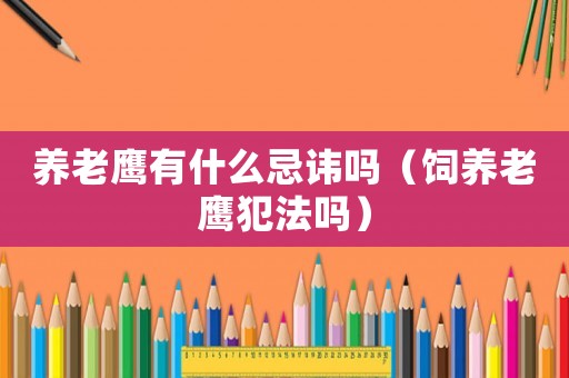 養(yǎng)老鷹有什么忌諱嗎（飼養(yǎng)老鷹犯法嗎）