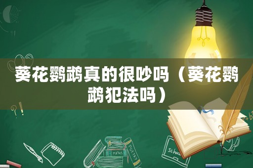 葵花鸚鵡真的很吵嗎（葵花鸚鵡犯法嗎）
