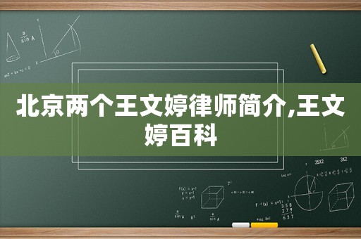 北京兩個(gè)王文婷律師簡介,王文婷百科