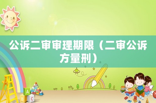 公訴二審審理期限（二審公訴方量刑）