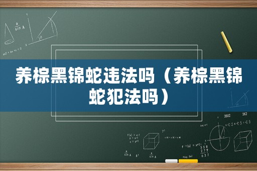 養棕黑錦蛇違法嗎（養棕黑錦蛇犯法嗎）
