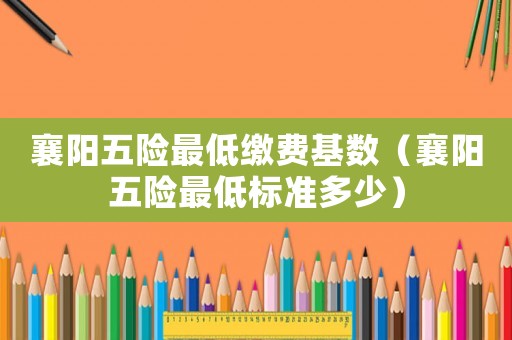 襄陽五險最低繳費基數（襄陽五險最低標準多少）