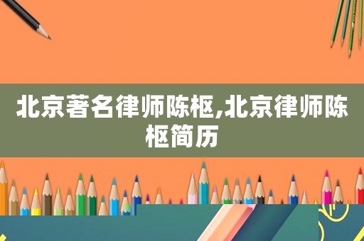 北京著名律師陳樞,北京律師陳樞簡歷